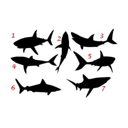 Tiburones