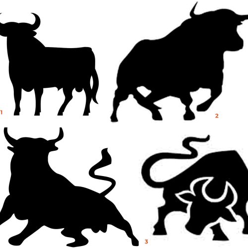Toros