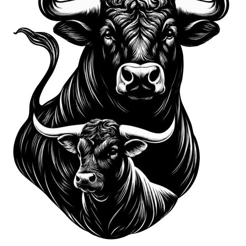 Vinilos adhesivos diseño personalizado. Toros